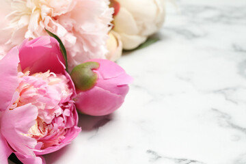 Beautiful peonies on white marble background, closeup. Space for text