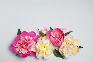 Beautiful fresh peonies and leaves on light grey background, flat lay. Space for text