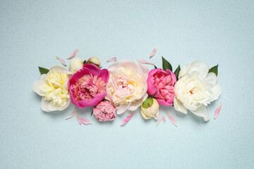 Beautiful fresh peonies on light blue background, flat lay