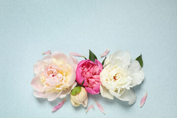 Obraz na płótnie Canvas Beautiful fresh peonies on light blue background, flat lay. Space for text