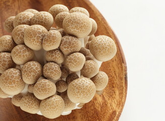 Japanese food ingredient, shimeji mushroom on white background with copy space