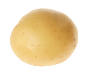 Fresh raw organic potato isolated on white