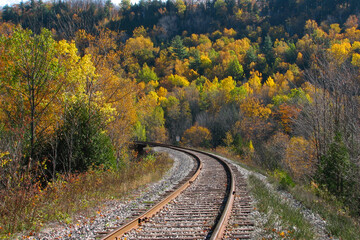 Vibrant autumn colors with railroad track at Credit River Valley in Caledon, Ontario, Canada.
