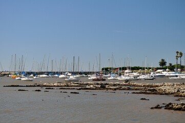 Fototapeta na wymiar sailboats at river plate river in Montevideo, Uruguay