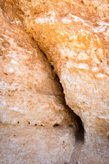 It's Socotra Island, Yemen. UNESCO World Heritage