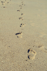 Fototapeta na wymiar Sand Walking footprint on La Pedrera, Rocha, Uruguay