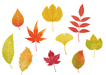 Obraz premium 水彩の落ち葉セット