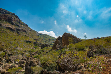 It's Beautiful landscape in Socotra Island, Yemen