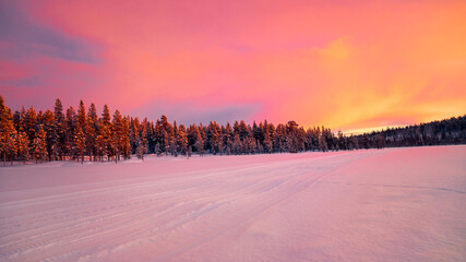 Landscape with a winter forest and sundown