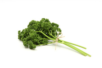 parsley isolated in white background