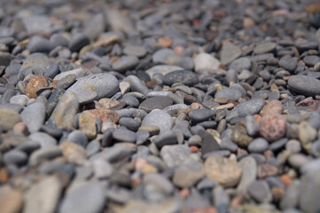 Pebble texture background a shallow depth of field