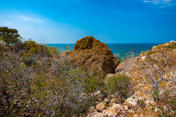 It's Nature landscape of Socotra Island