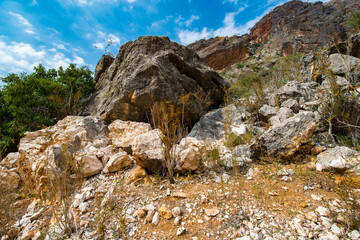 It's Nature of Socotra Island archipelago