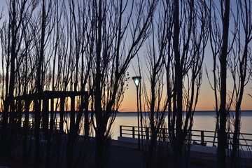 Vista de lámpara entre arboles al atardecer con mar y horizonte rosado de fondo