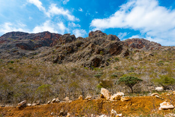 It's Nature of Socotra Island archipelago