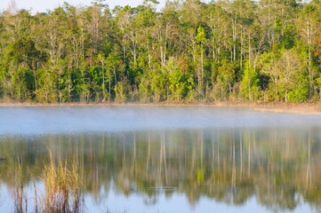 Steam Fog Rising from a Lake