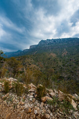 It's Nature of Socotra Island, Yemen. UNESCO World Natural Heritage. Small archipelago of four islands in the Indian Ocean
