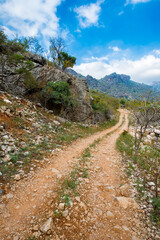 It's Nature of Socotra Island, Yemen. UNESCO World Natural Heritage. Small archipelago of four islands in the Indian Ocean