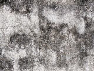 Fototapeta premium white cement surface that is old but still sturdy
