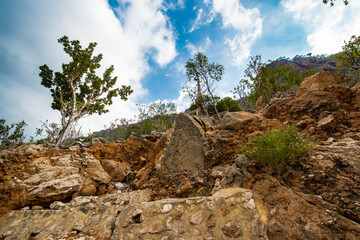 It's Rock formations and dry trees