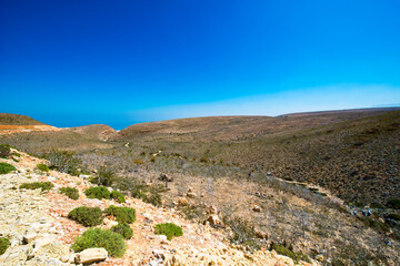 It's Nature of the Socotra Archipelago, Yemen