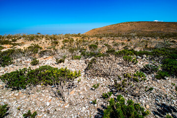 Obraz premium It's Nature of the Socotra Archipelago, Yemen