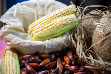 Typical feast of São João in Brazil