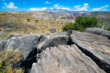 It's Rocks of the Socotra Island in Yemen. Socotra Archipelago is a UNESCO World Heritage