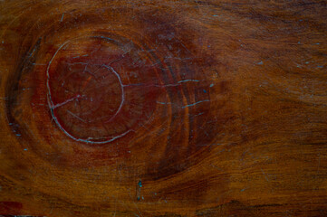 The background of the wooden panels with beautiful exotic patterns.