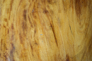 The background of the wooden panels with beautiful exotic patterns.