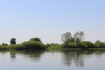 Obraz premium Nature near a lake with trees and a clear day