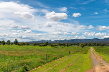 Fototapeta na wymiar Farm access track with fences and lush summer green vegetation, Queensland