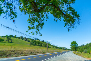 Foothills and Oak Trees-005
