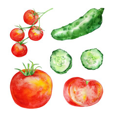 watercolor set of vegetables