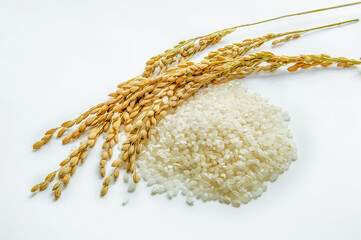 an ear of rice and white rice  on white background