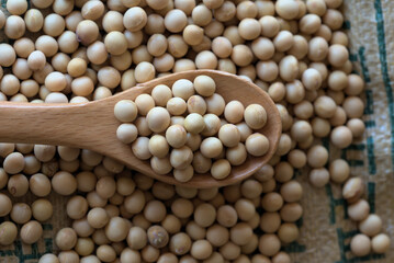 yellow bean and wood spoon on the sack of beans