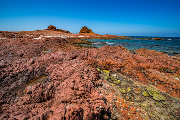It's Socotra Island, Yemen. UNESCO World Heritage
