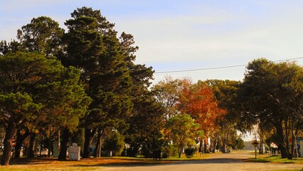 Colorido en oto&ntilde;o