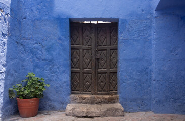 Fototapeta na wymiar Beautiful ancient black door with flower pot and blue wall