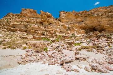 It's Natural landscape of the Socotra ISalnd, Yemen