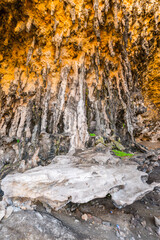 It's Cave Degub, Sokotra Island, Yemen