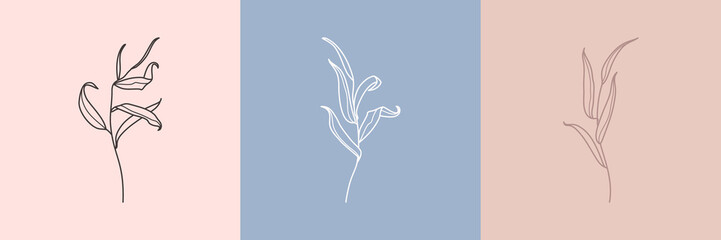 Set of Willow branch with leaves in a trendy minimalistic style. Outline of a botanical design elements. Floral vector - obrazy, fototapety, plakaty