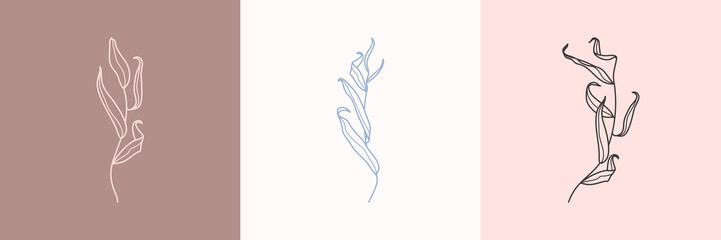 Set of Willow branch with leaves in a trendy minimalistic style. Outline of a botanical design elements. Floral vector © Sini4ka