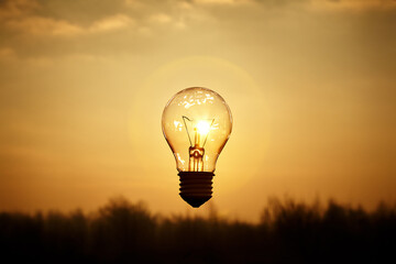 Closeup incandescent light bulb with blur on sky and sunset background.