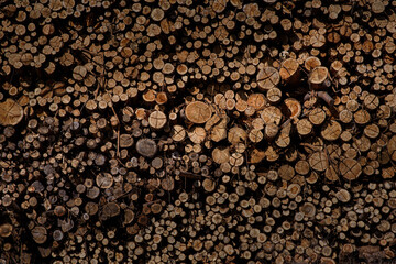 stack of old wooden logs