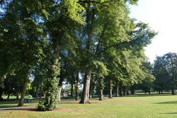 Park