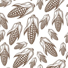 Corn harvest, organic food raw ingredient seamless pattern