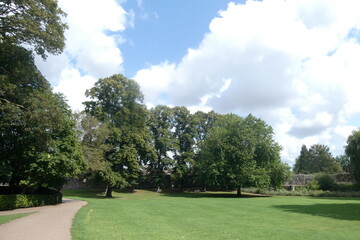 Obraz premium Park