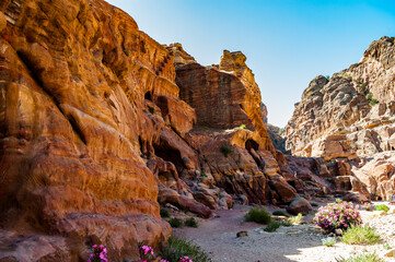 It's Mountains in Petra (Rose City), Jordan. Petra is one of the New Seven Wonders of the World.