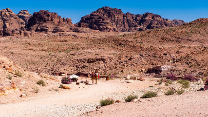 It's Nature and mountains in Petra (Rose City), Jordan. Petra is one of the New Seven Wonders of the World.